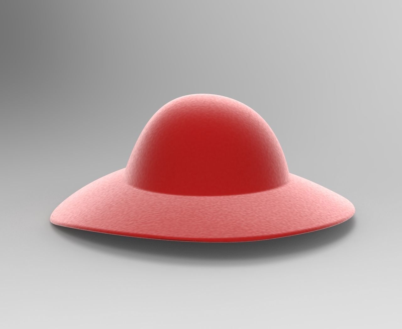 Basic Hat 3D model_2