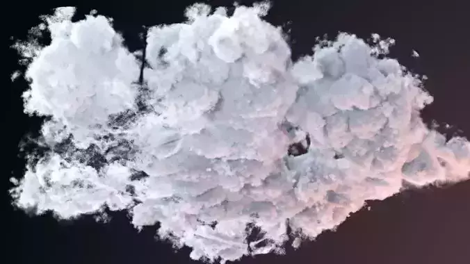 VDB Cloud 08 3D model