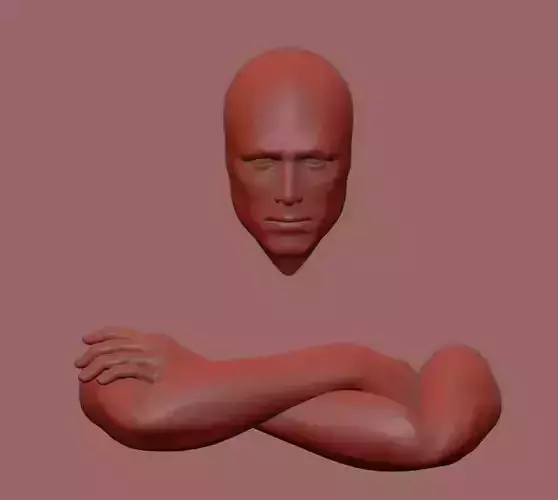 3D print Wall Sculpture