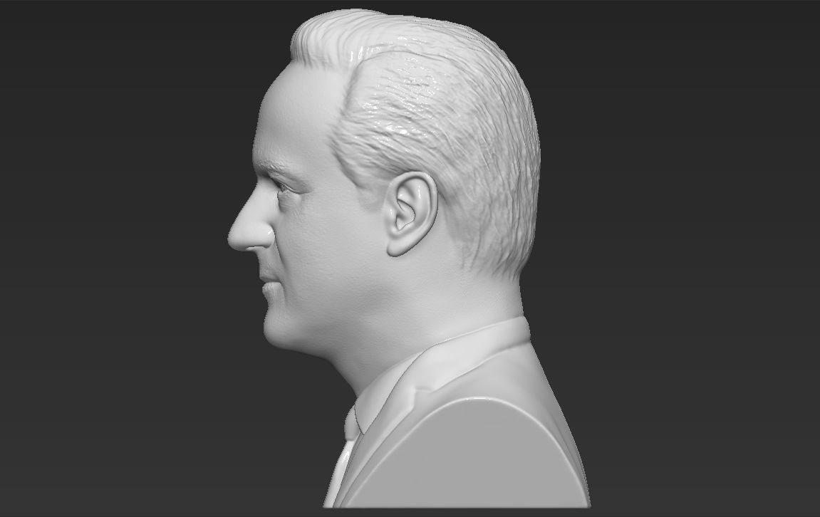 David Cameron bust 3D printing ready stl obj formats 3D print model_10