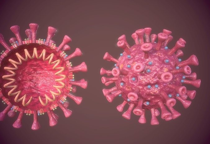 COVID-19 coronavirus-19 virus microorganism model Low-poly 3D model