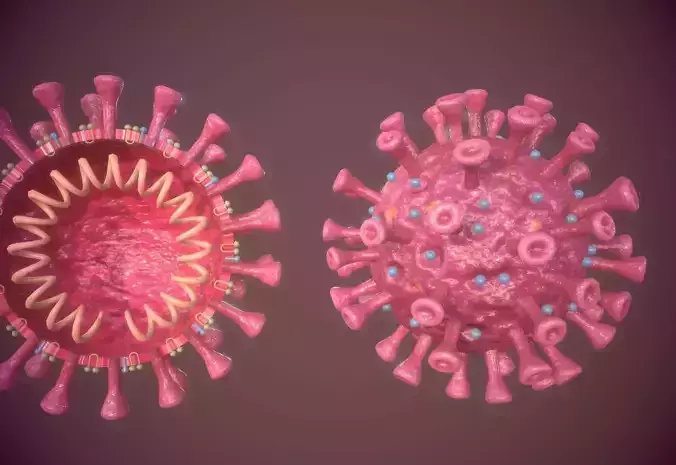 COVID-19 coronavirus-19 virus microorganism model Low-poly 3D model