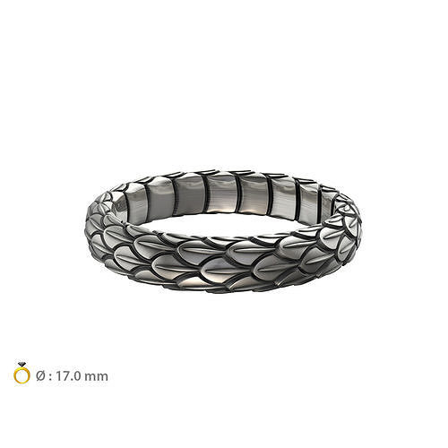 N024 Snake large texture ring 3D print model