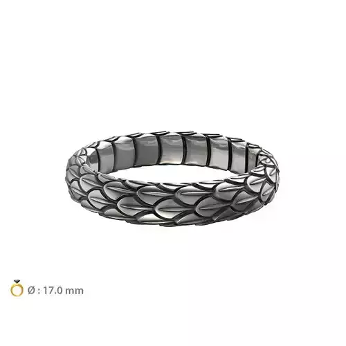 N024 Snake large texture ring