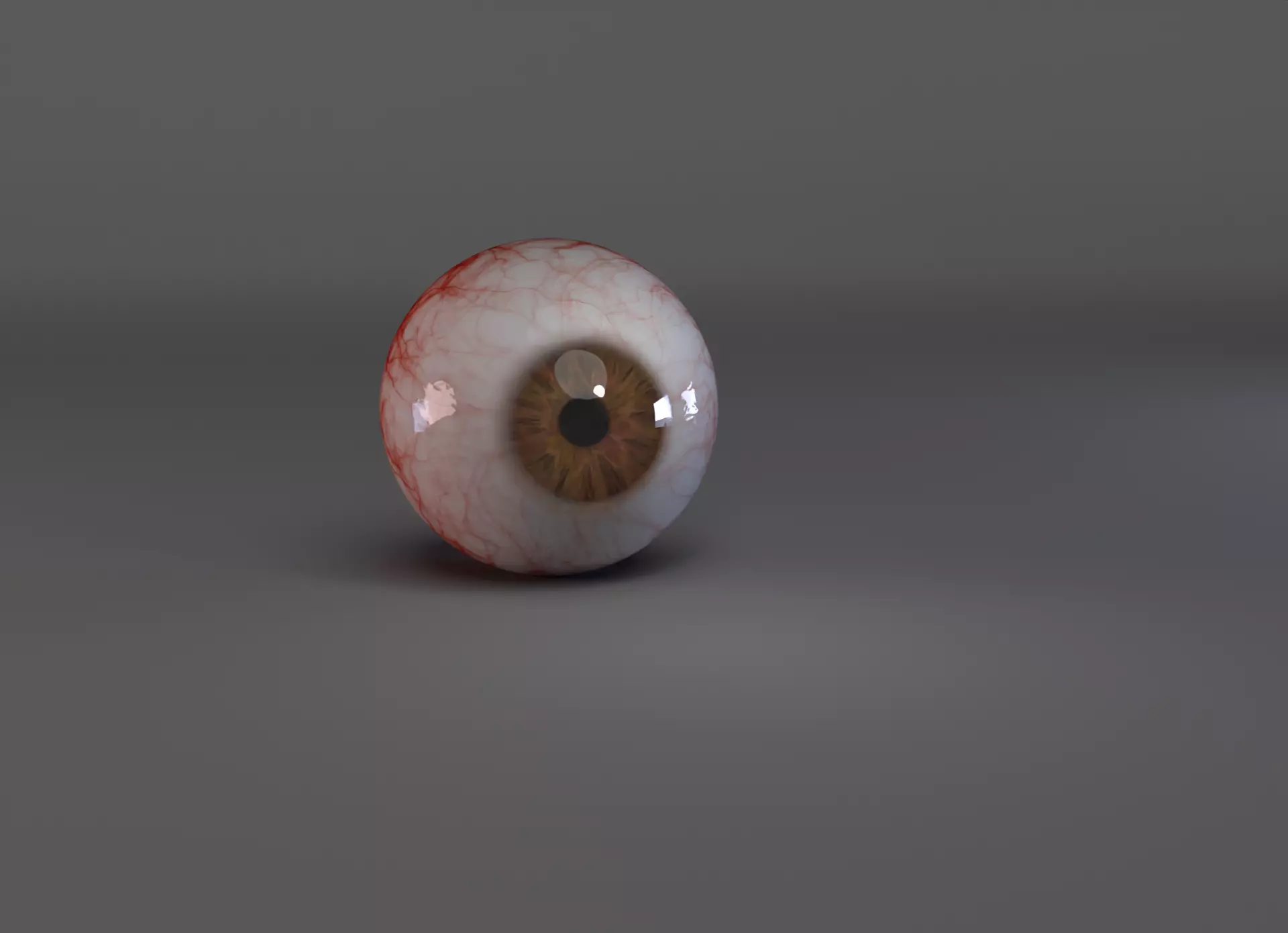 human eye 3D model_0