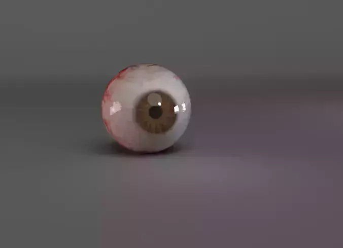 human eye