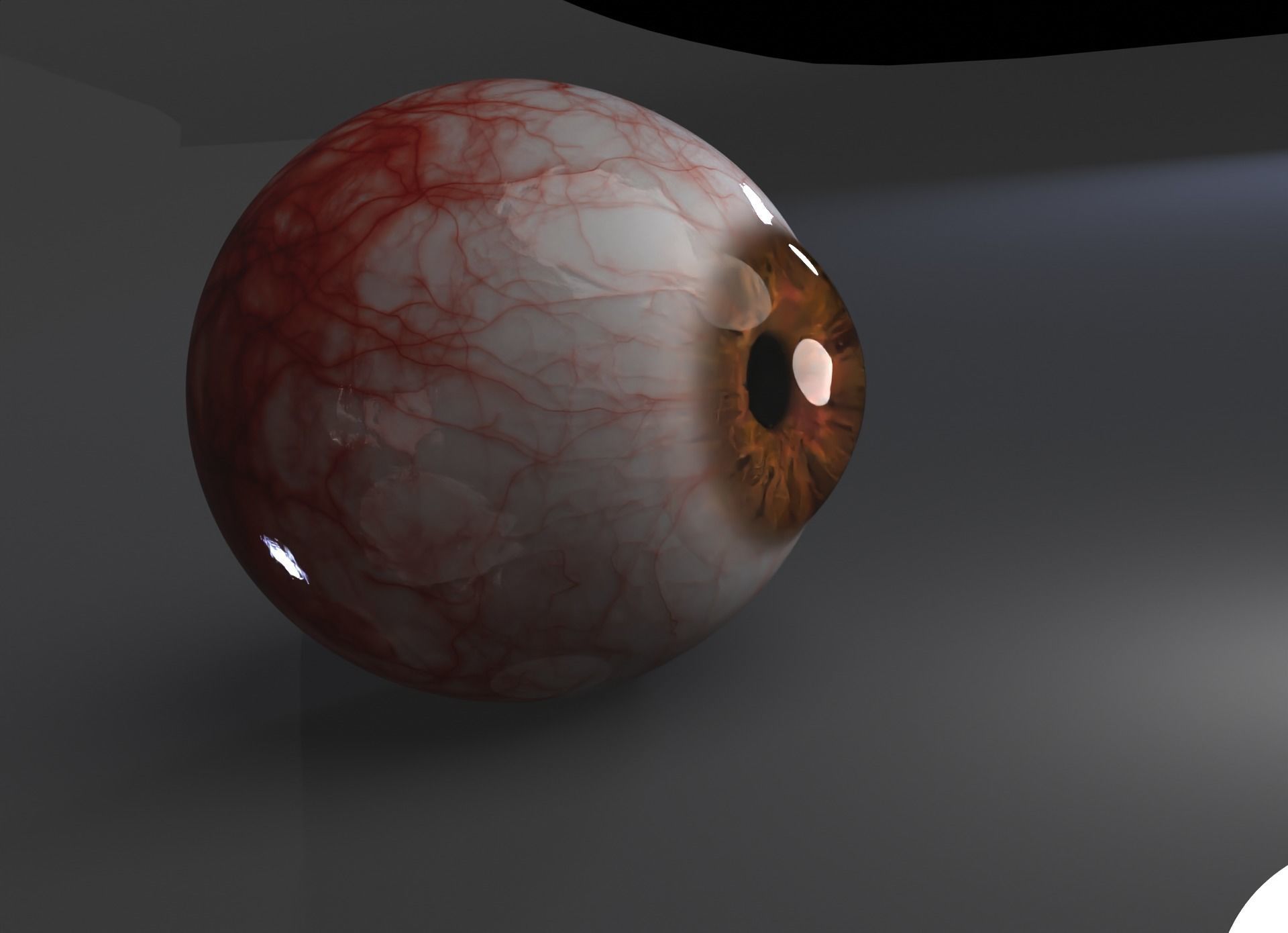 human eye 3D model_1