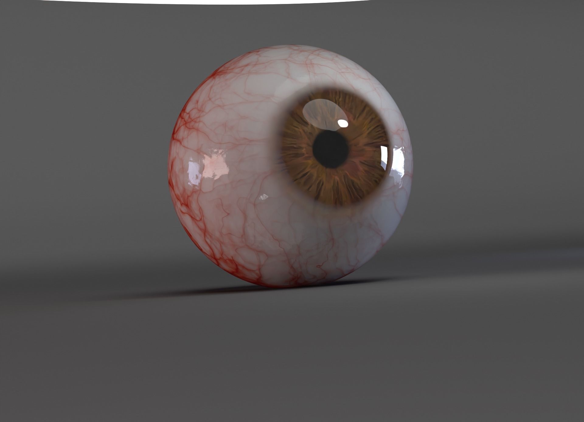 human eye 3D model_3