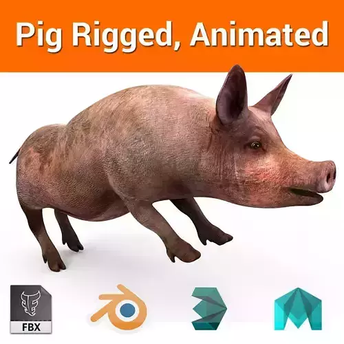 Pig Rigged  Animated 3D model