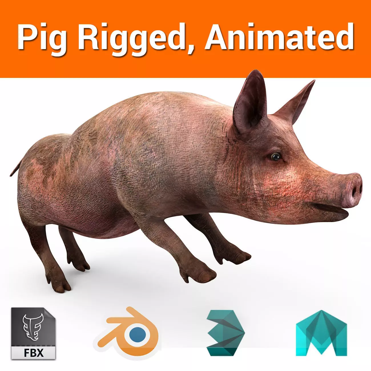 Pig Rigged  Animated 3D model Low-poly 3D model_0