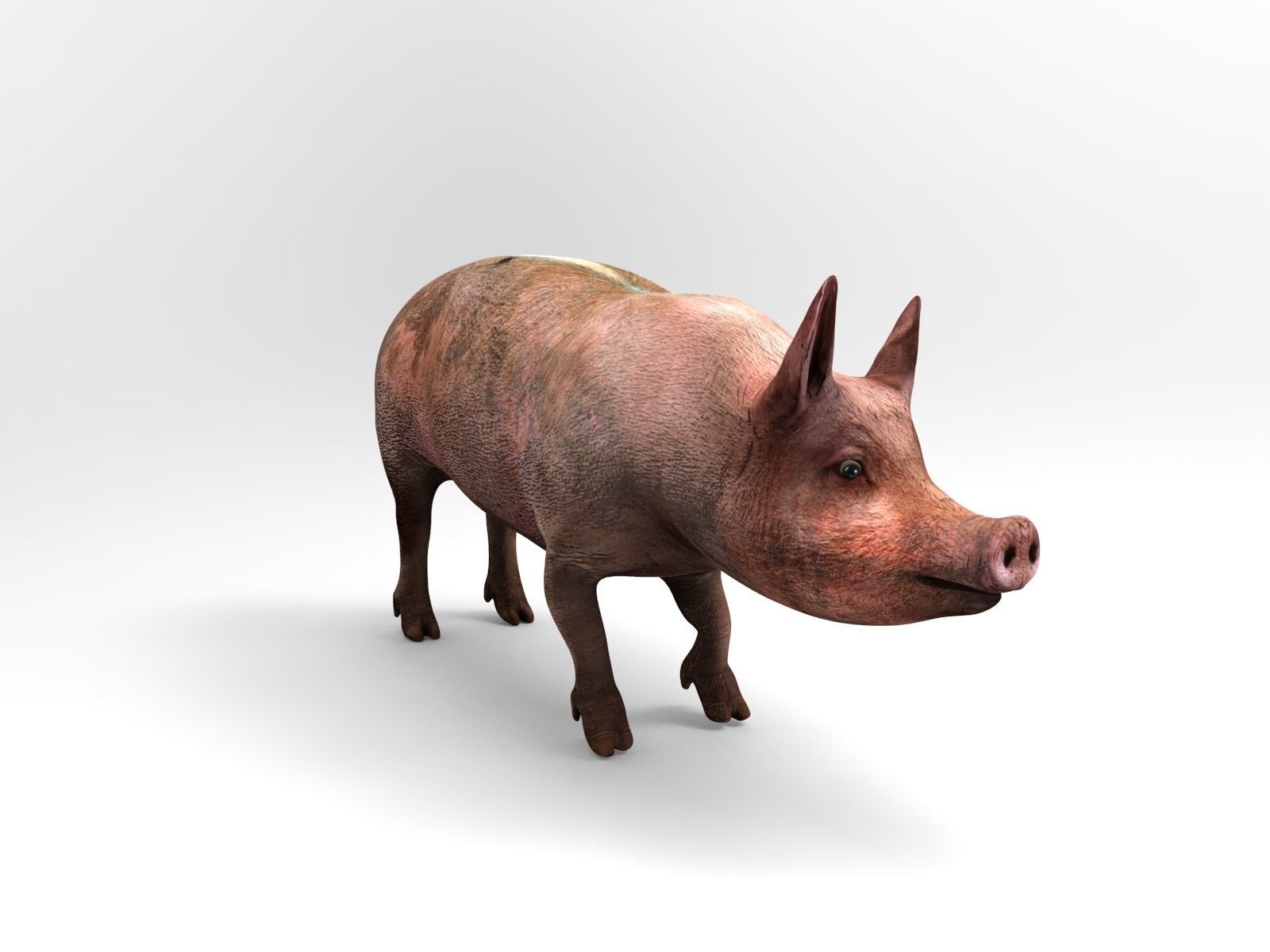 Pig Rigged  Animated 3D model Low-poly 3D model_9