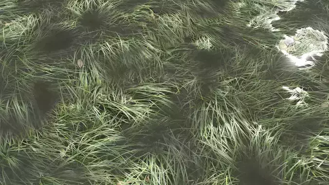 Water with algae and Plants 3