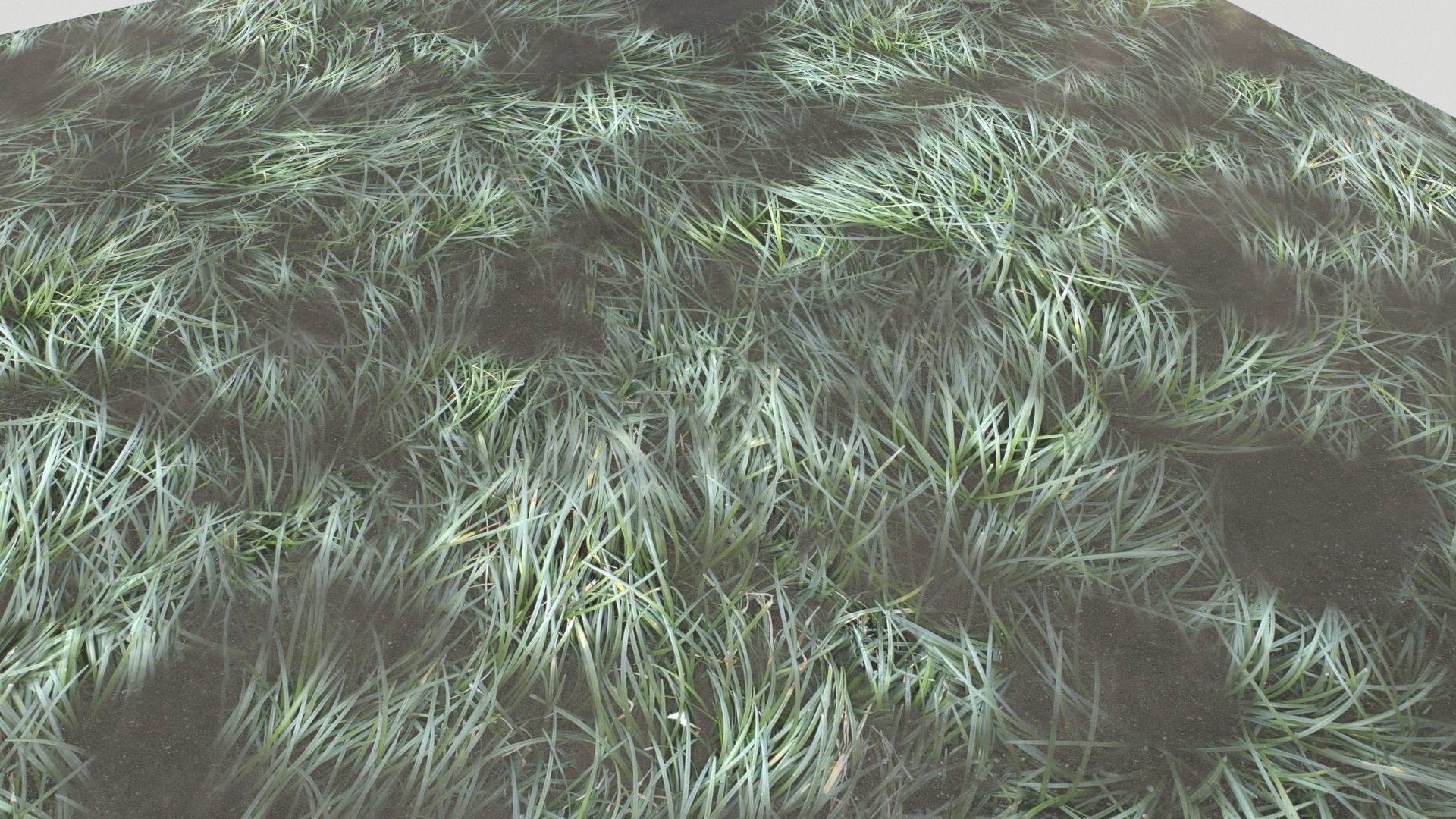 Water with algae and Plants 3 Texture_7