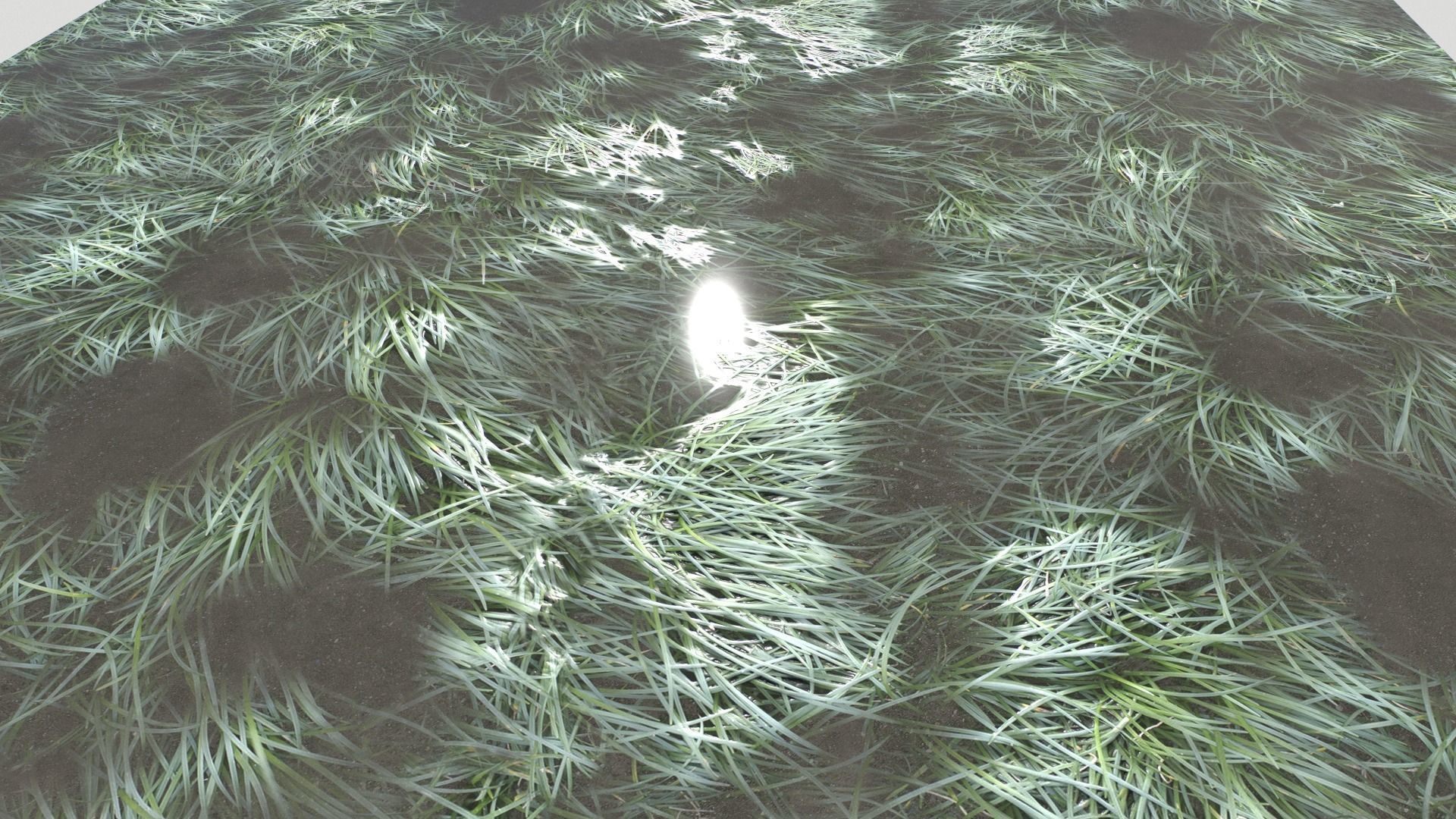 Water with algae and Plants 3 Texture_19