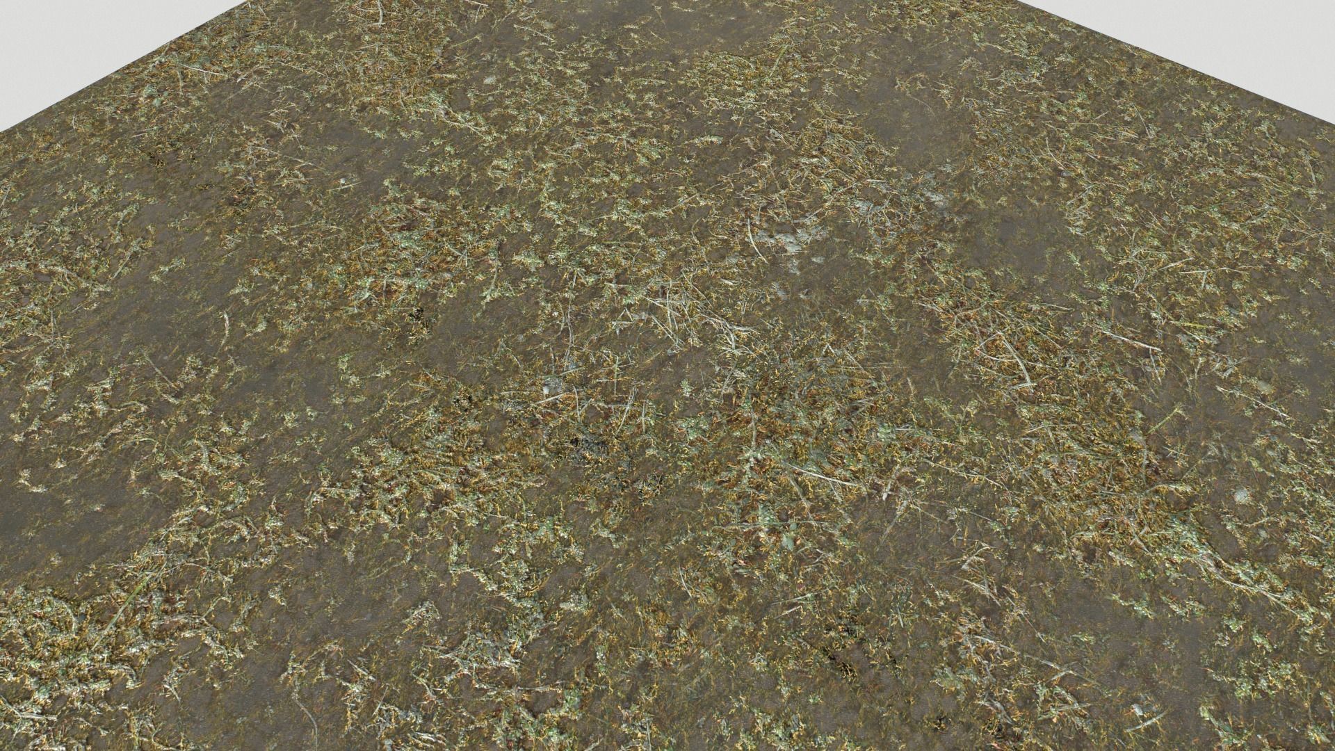 Water with algae and Plants 3 Texture_15