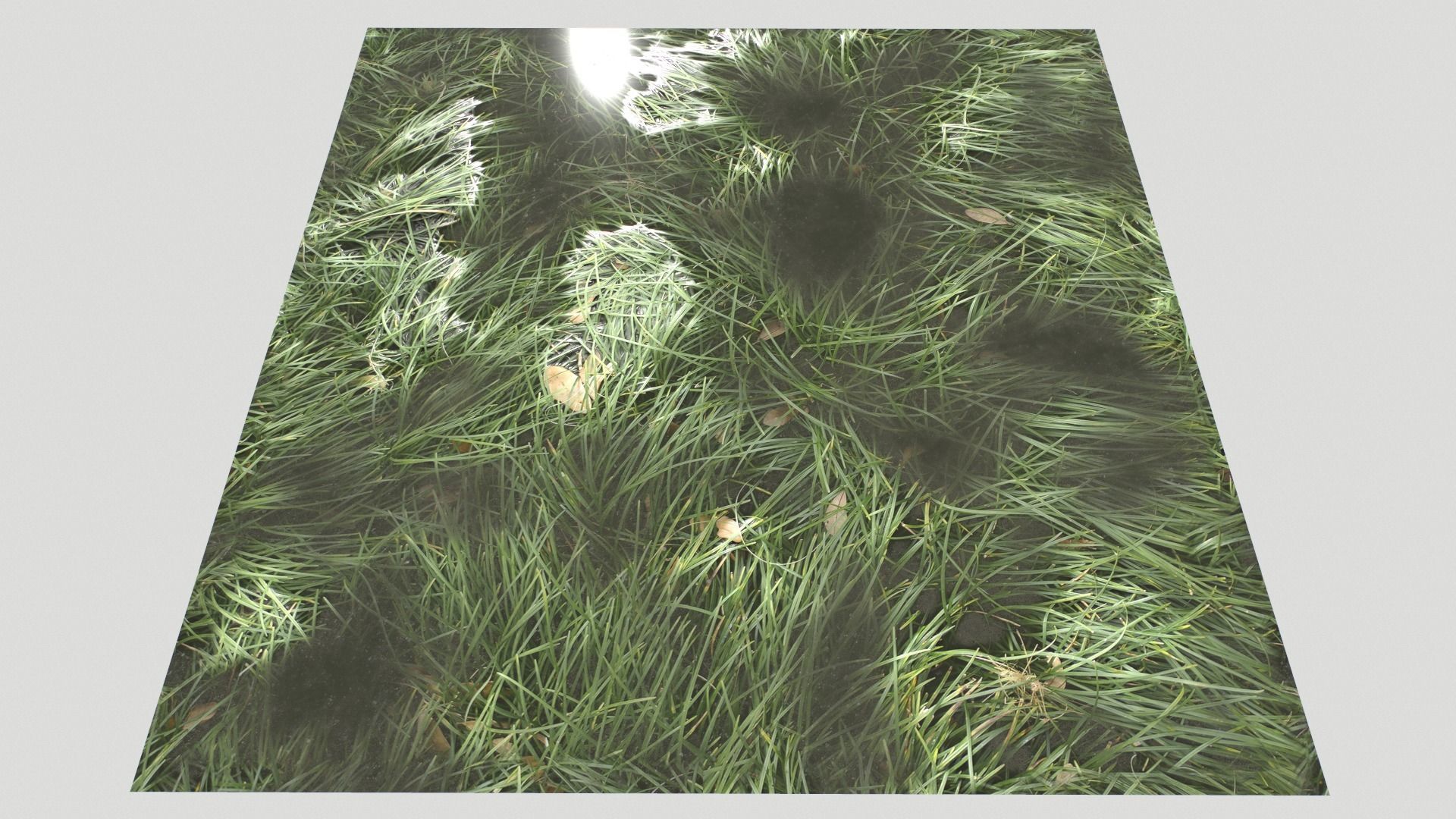 Water with algae and Plants 3 Texture_23