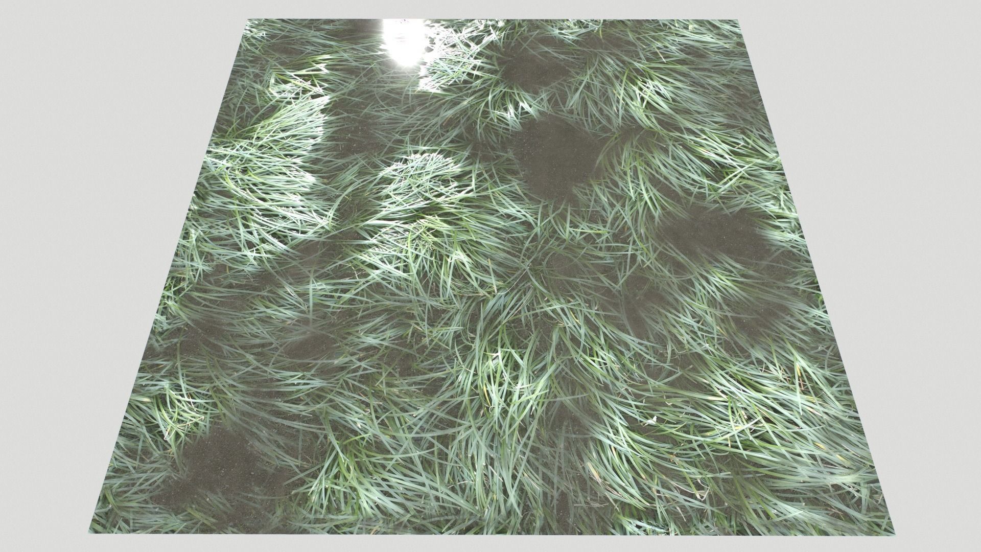 Water with algae and Plants 3 Texture_22