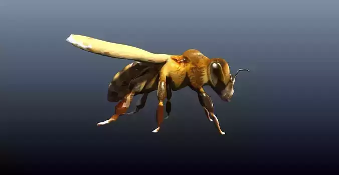 honey bee lowpoly Low-poly 3D model