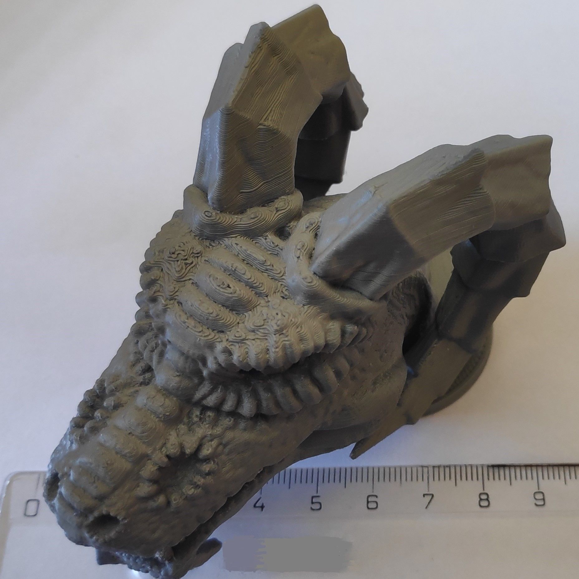 Fantasy dragon head 3D print model_3