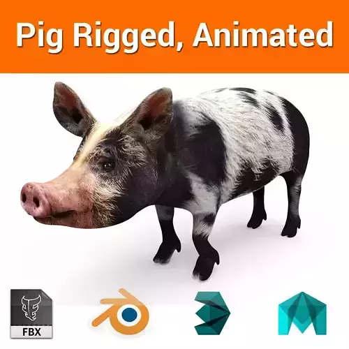 gray black Pig Rigged  Animated 3D model Low-poly 3D model