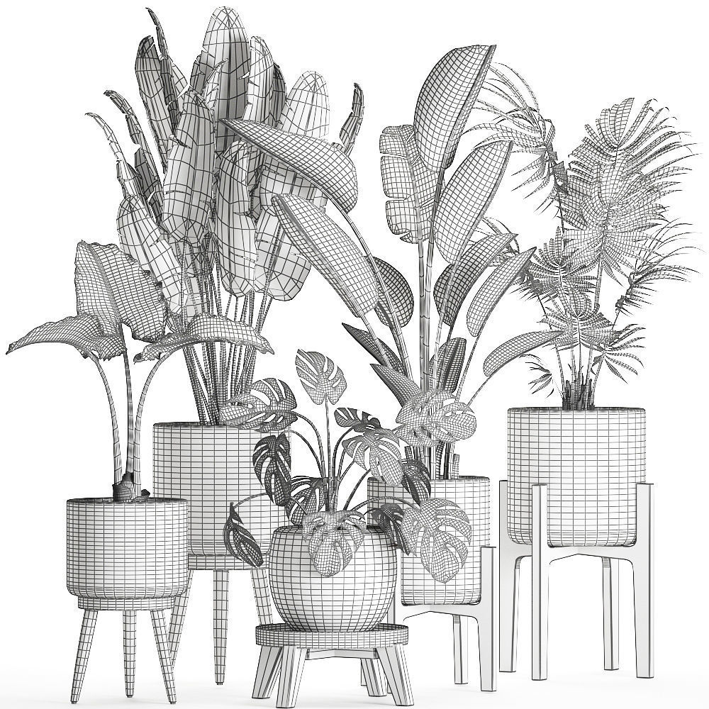 Plants in a black pot for the interior 658 3D model_7