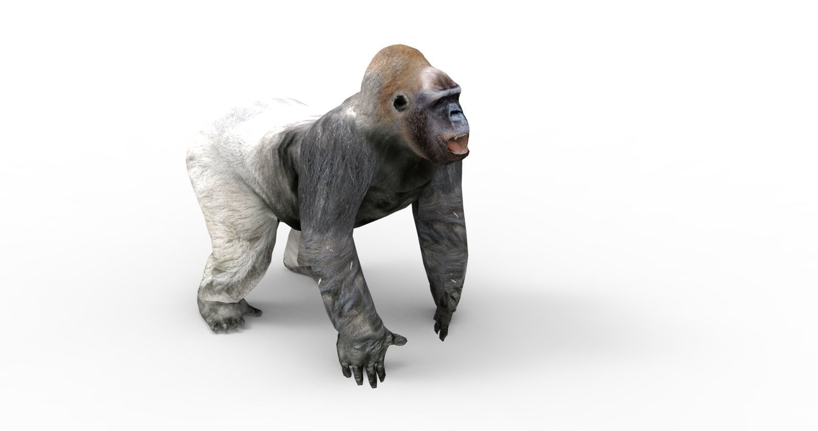 3D Model Gorilla Animated and Rigged Low-poly 3D model_5