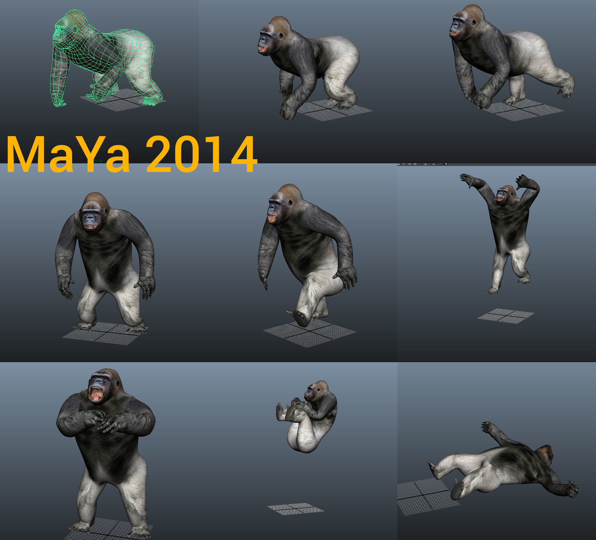3D Model Gorilla Animated and Rigged Low-poly 3D model_18