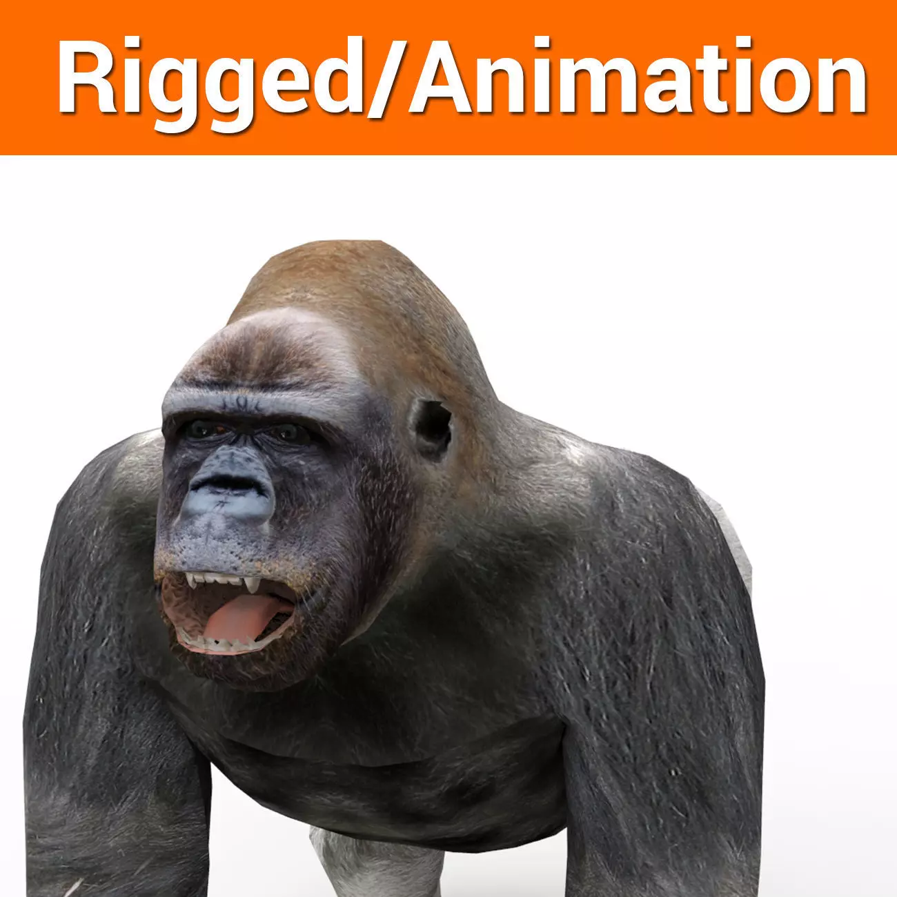 3D Model Gorilla Animated and Rigged Low-poly 3D model_0