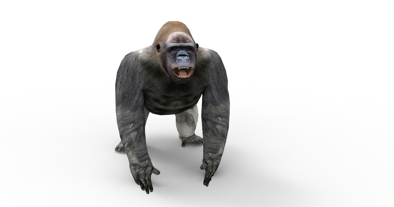 3D Model Gorilla Animated and Rigged Low-poly 3D model_9