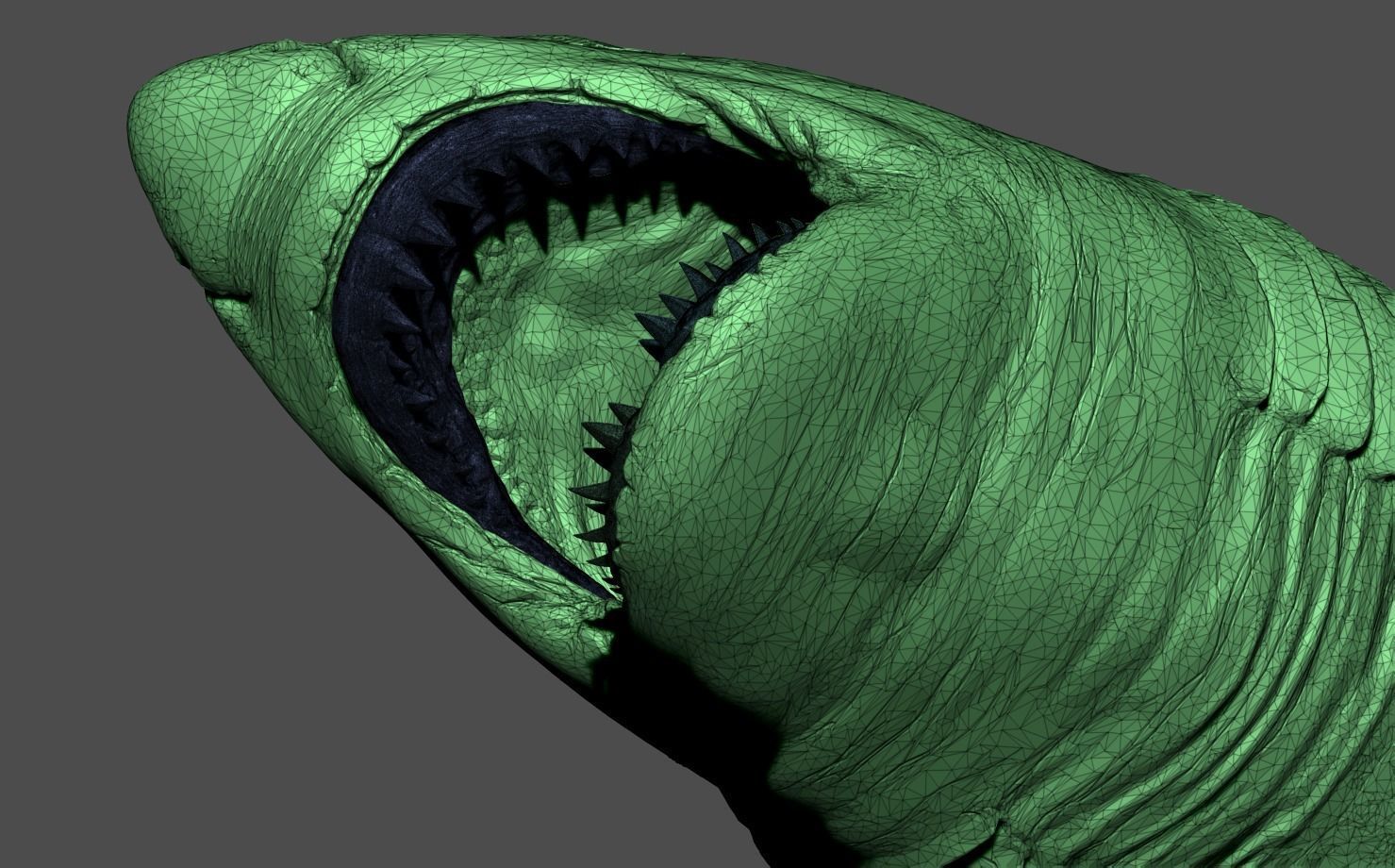 White Shark Statue 3D print model_20