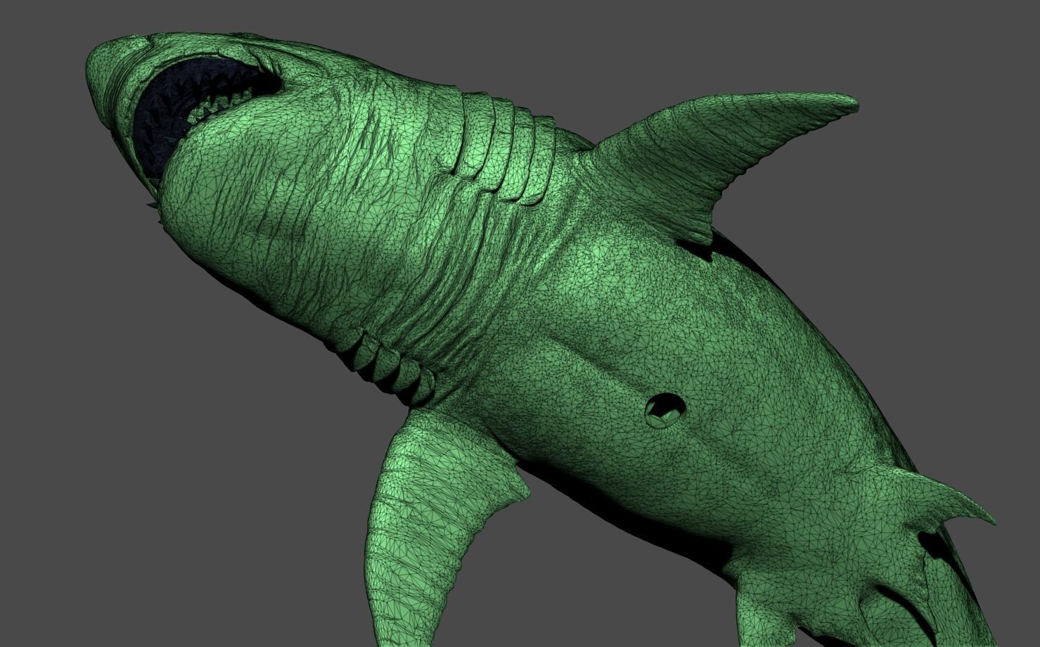 White Shark Statue 3D print model_19