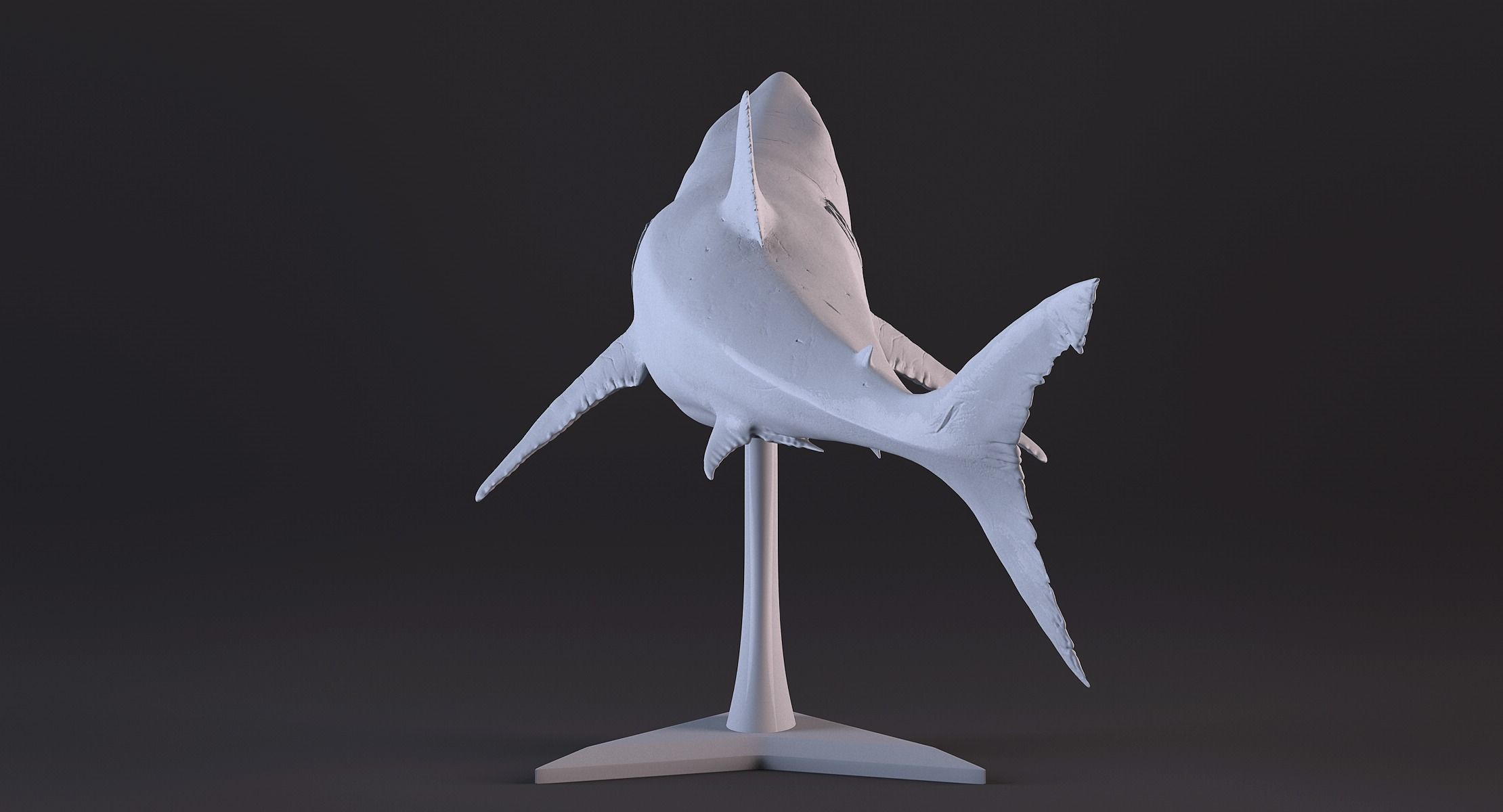 White Shark Statue 3D print model_9