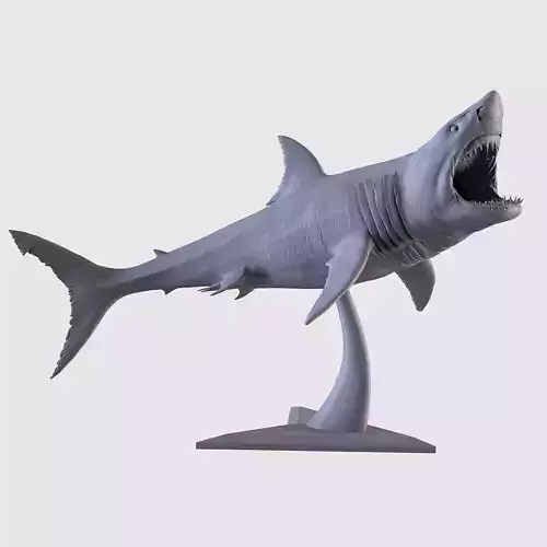 White Shark Statue 3D print model