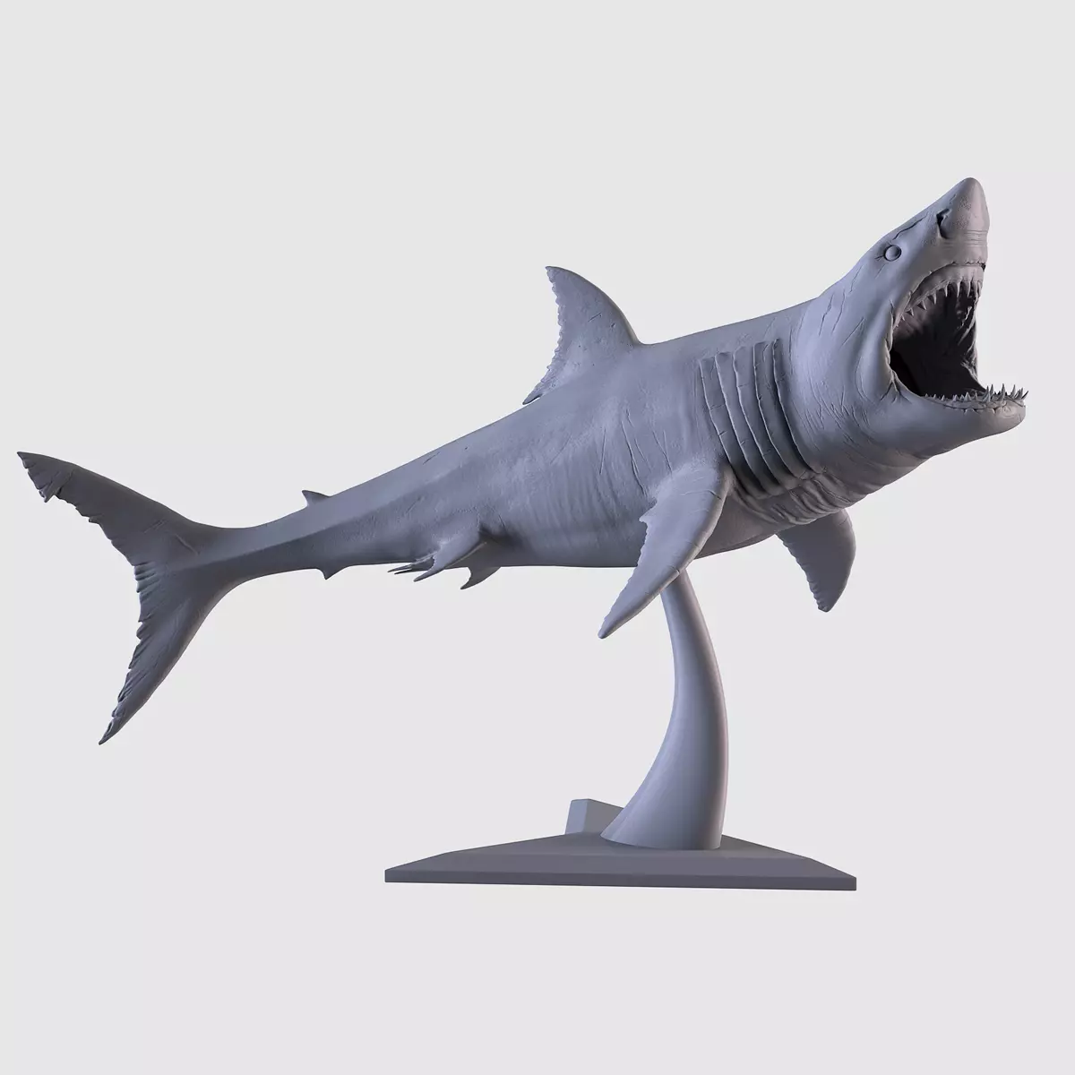 White Shark Statue 3D print model_0