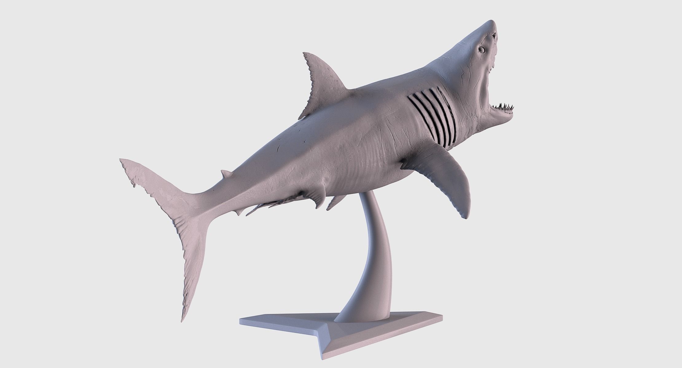 White Shark Statue 3D print model_2