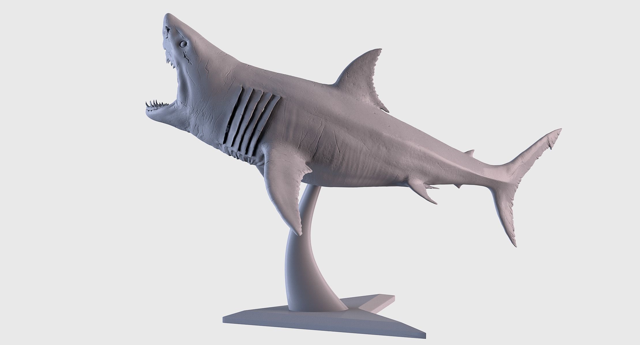 White Shark Statue 3D print model_5
