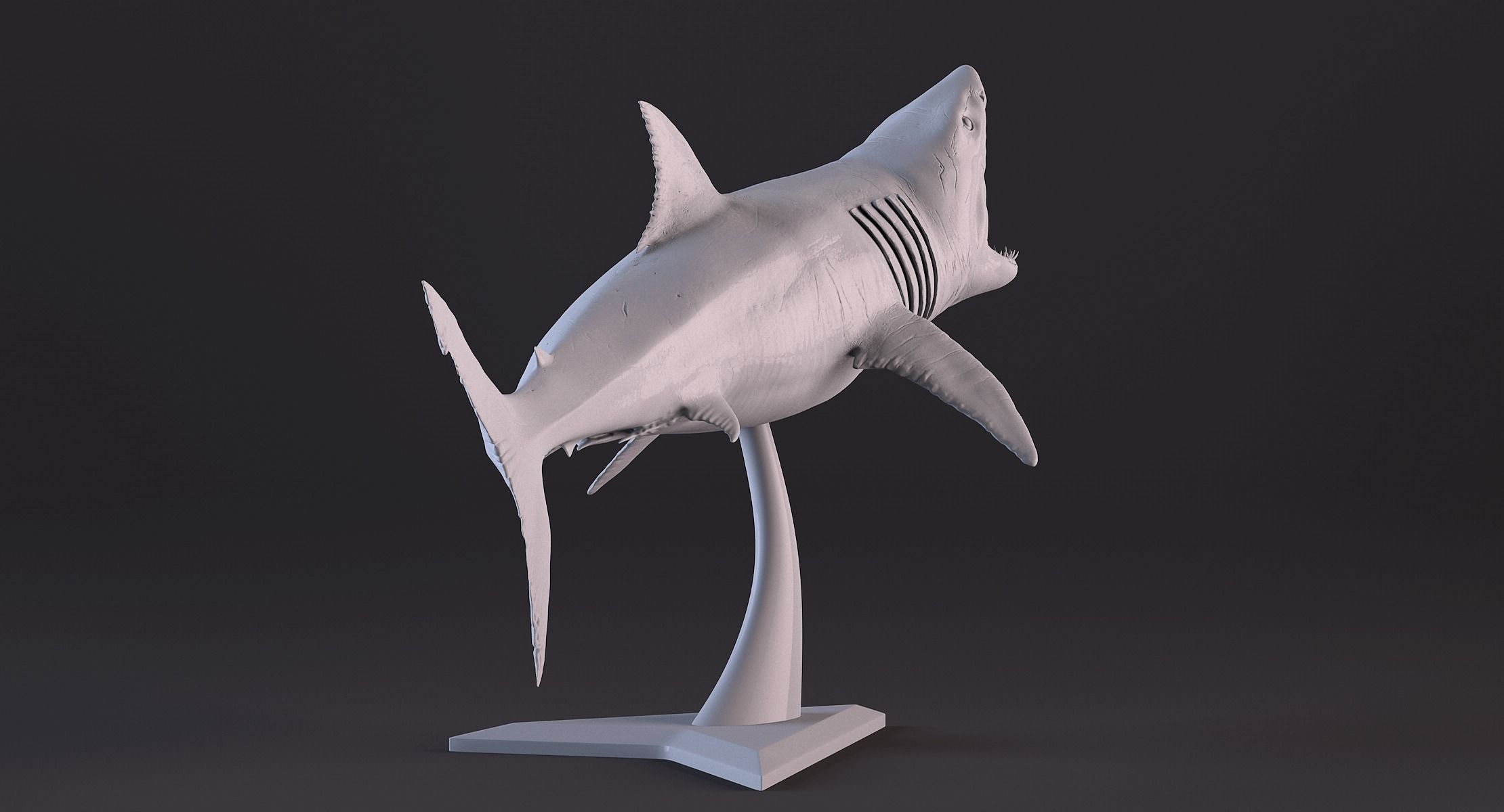 White Shark Statue 3D print model_13