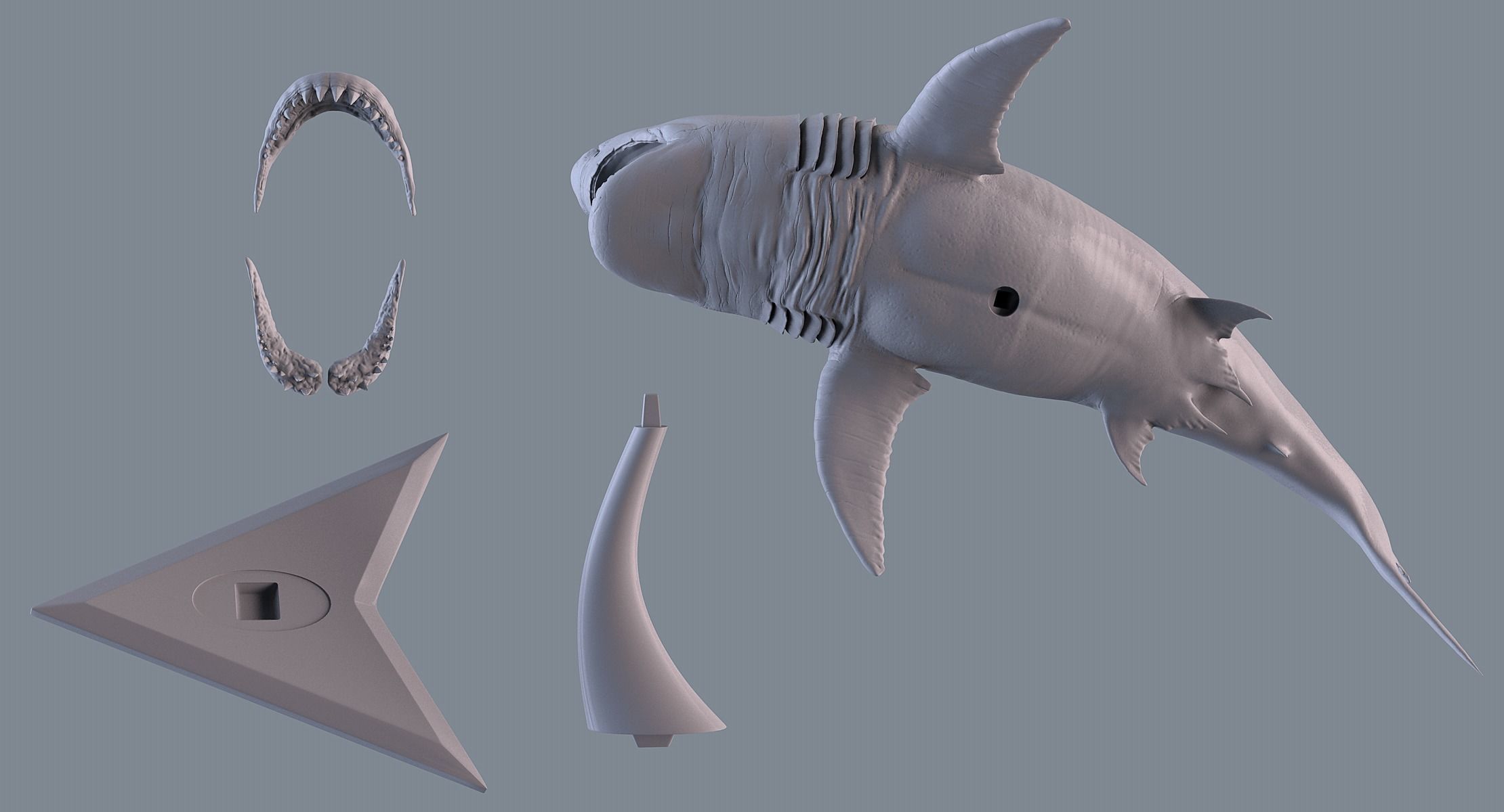White Shark Statue 3D print model_7