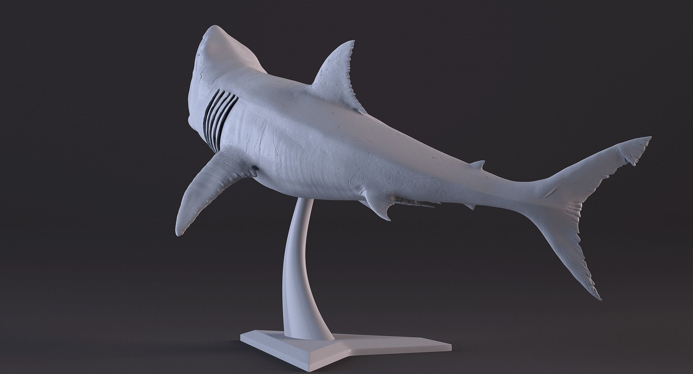 White Shark Statue 3D print model_10