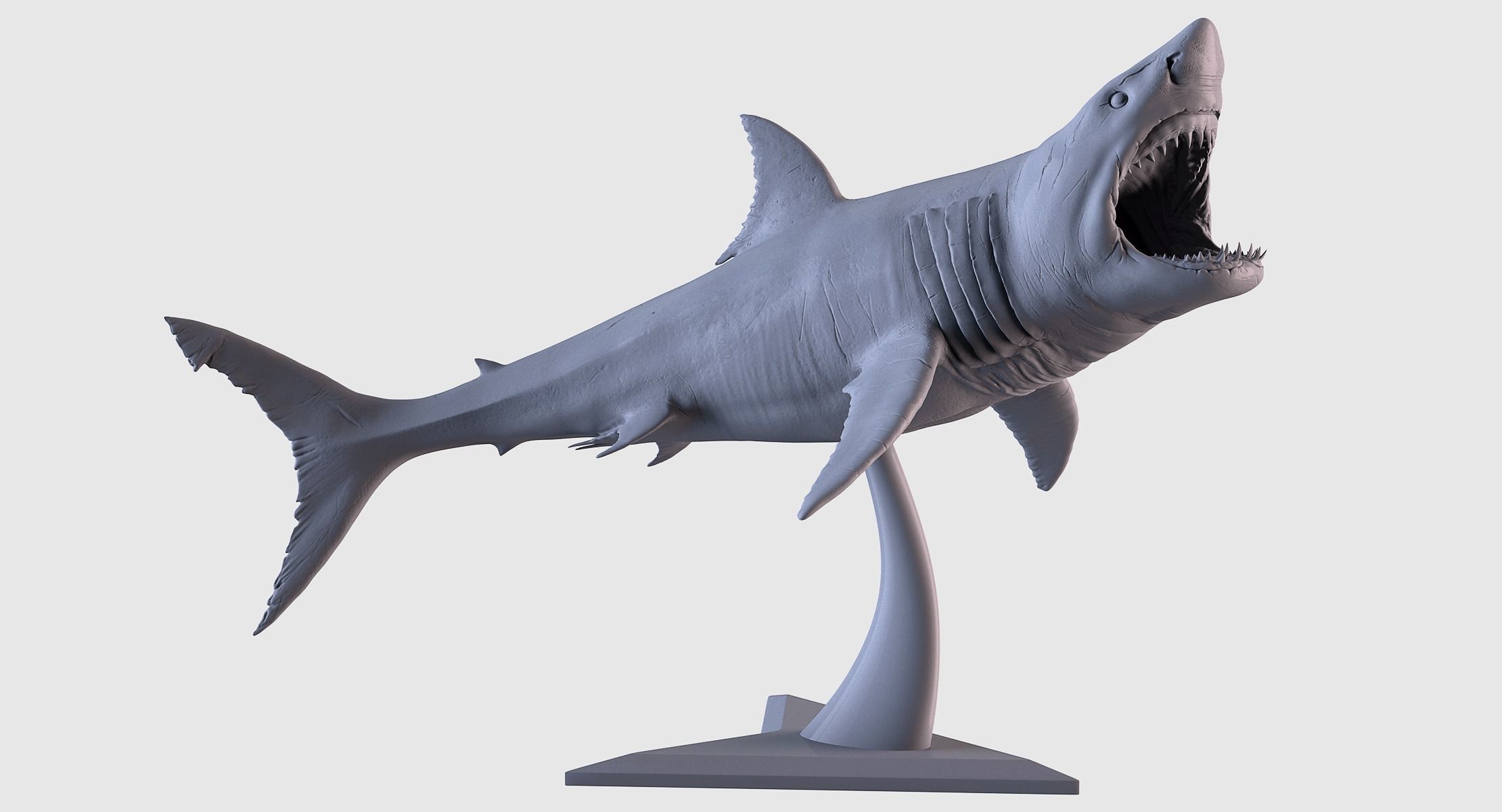 White Shark Statue 3D print model_1