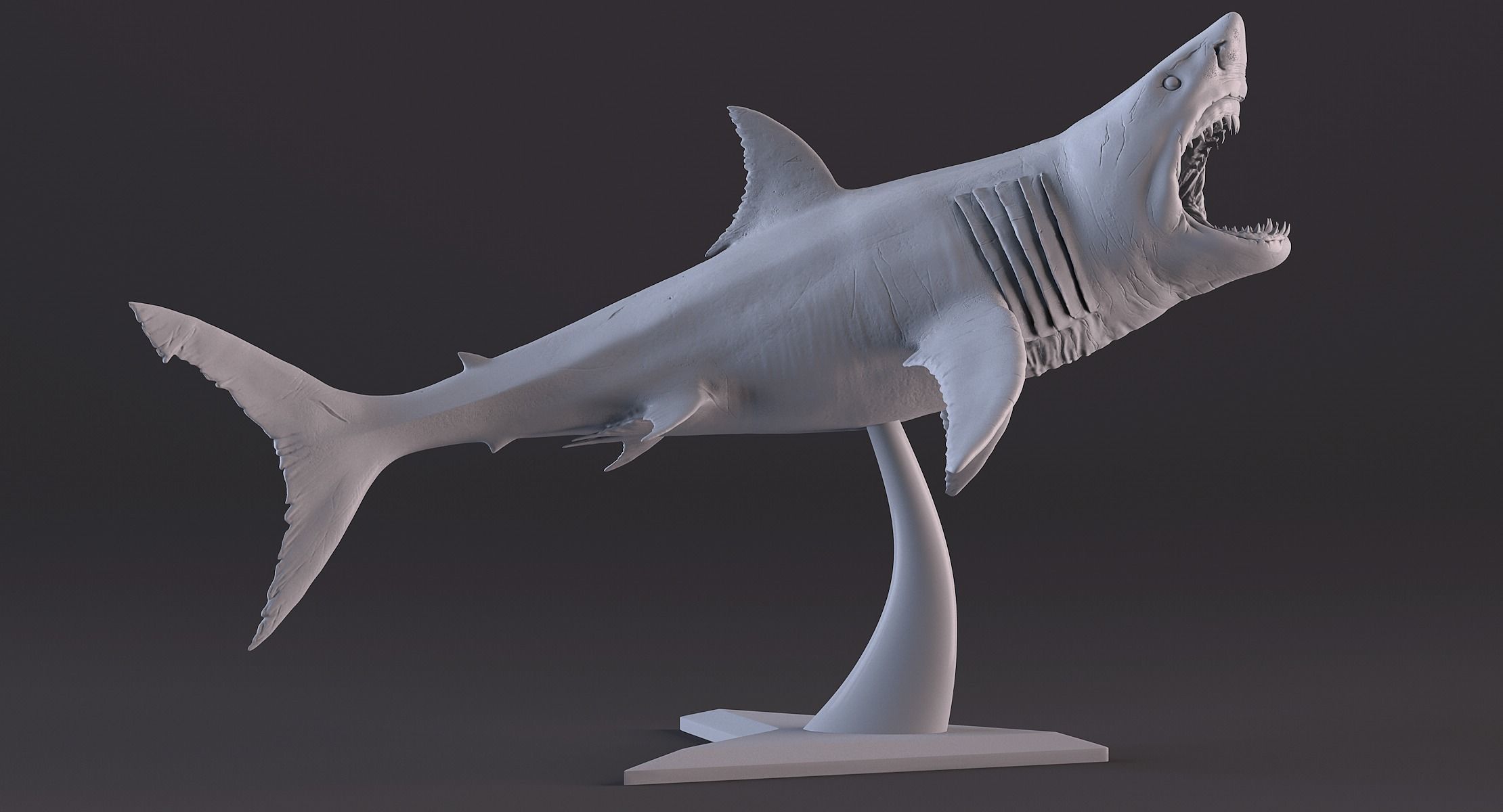 White Shark Statue 3D print model_12