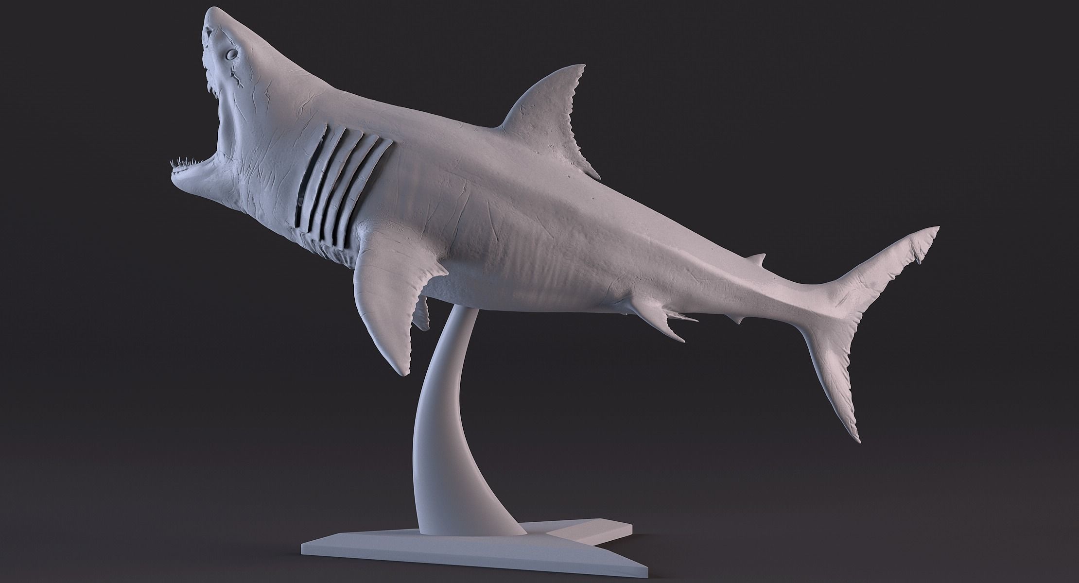 White Shark Statue 3D print model_11