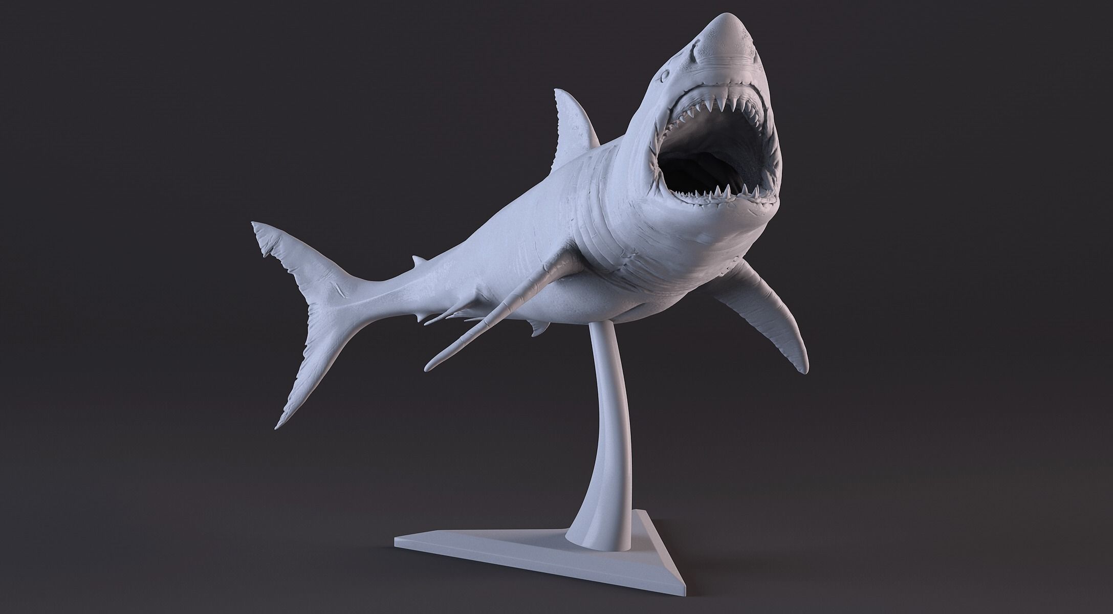 White Shark Statue 3D print model_18