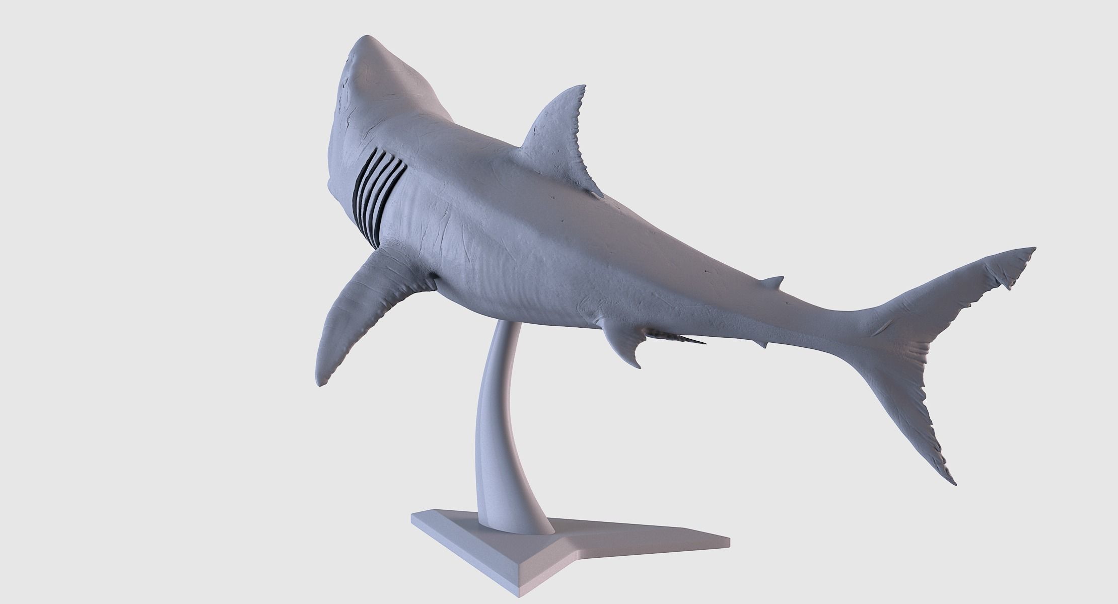 White Shark Statue 3D print model_3