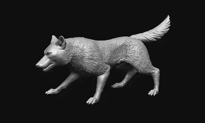 Growling Wolf 3D print model