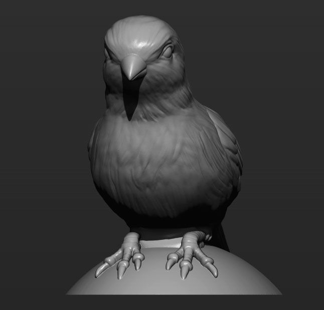 Canary bird perched 3D print model_6