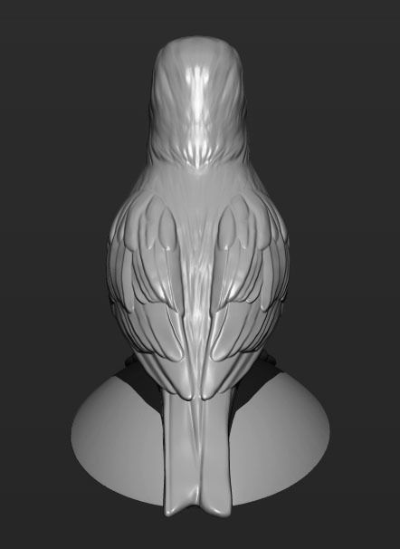 Canary bird perched 3D print model_7