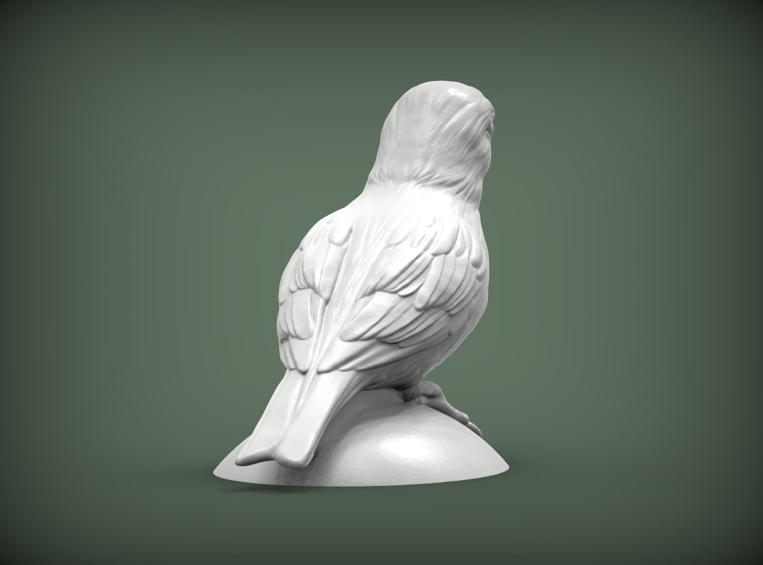 Canary bird perched 3D print model_3