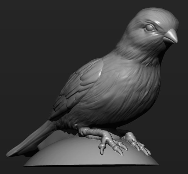 Canary bird perched 3D print model_12