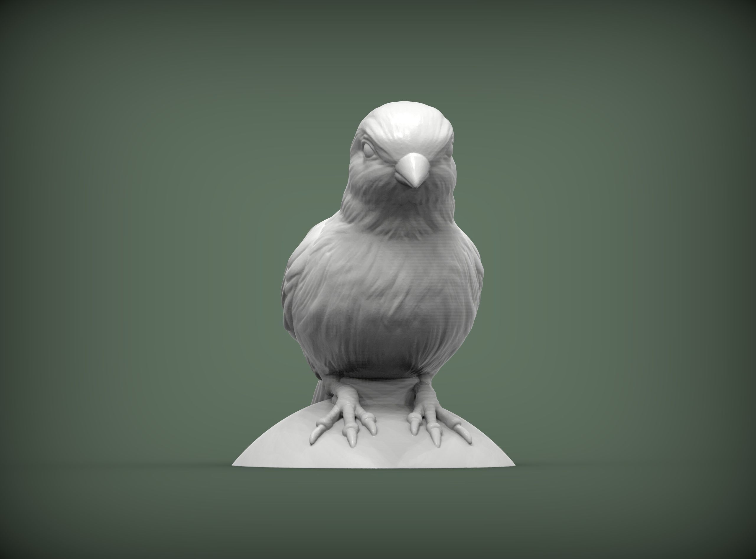 Canary bird perched 3D print model_2